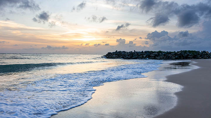 如何在微软下载WPS:不求人3步法宝攻略 二