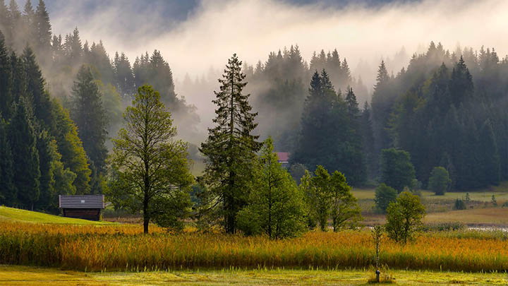 WPS编辑完后怎样下载?最全教程助你轻松搞定! 二