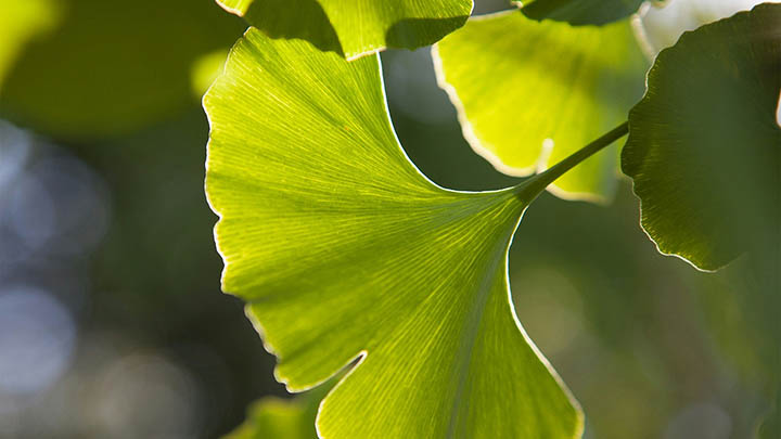 如何下载WPS个人版？快速上手指南+官方渠道推荐 二