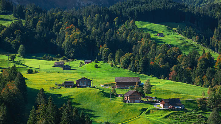 WPS如何下载单元格内容：3步轻松搞定 二