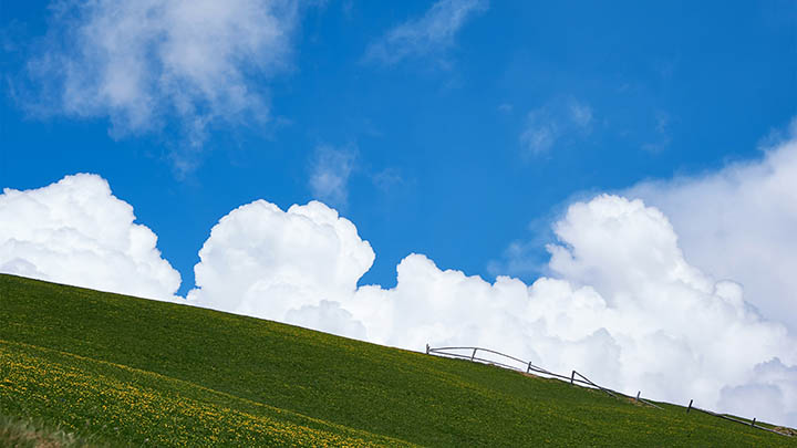 计算机WPS下载：如何3步快速搞定 二