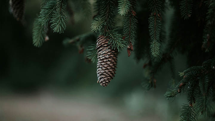 如何迅速禁止WPS热点下载？全面指南带你一步到位！ 二