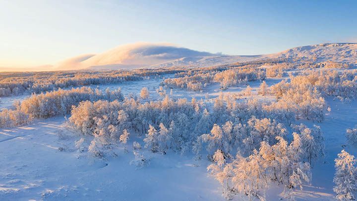 WPS如何下载？新手必看超详细教程 二