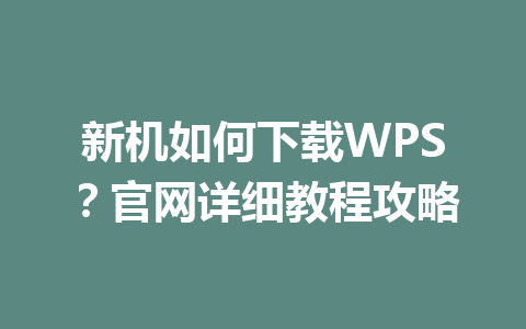 新机如何下载WPS？官网详细教程攻略 一