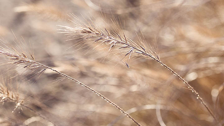 WPS如何对应下载？详细指南+获取官网链接步骤解析 二