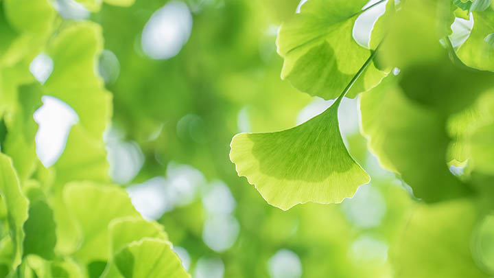 新机如何下载WPS？官网详细教程攻略 二