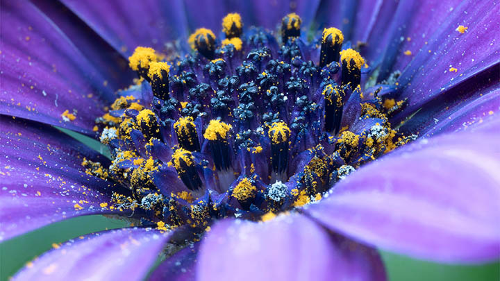 WPS正版下载全攻略：如何解决解析包错误和下载卡住问题？ 二