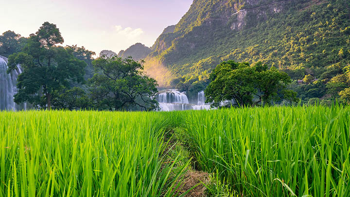 如何下载WPS办公软件？全网最全教程详解 二