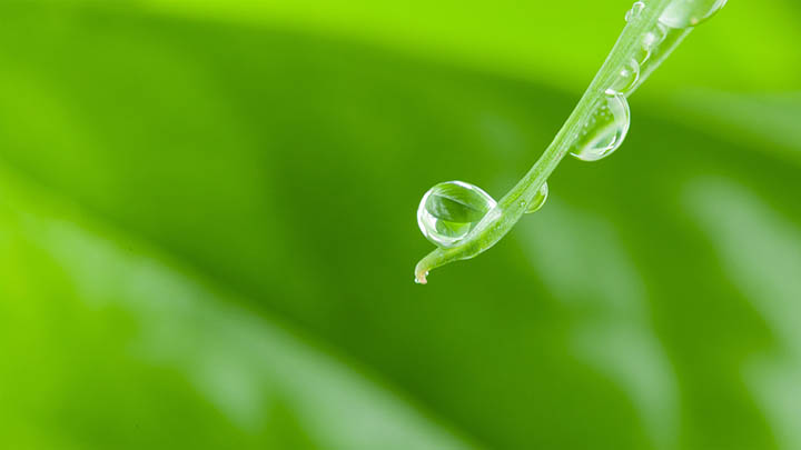 WPS怎么下载安装Word文档?离线下载路径+快捷安装技巧解析 二