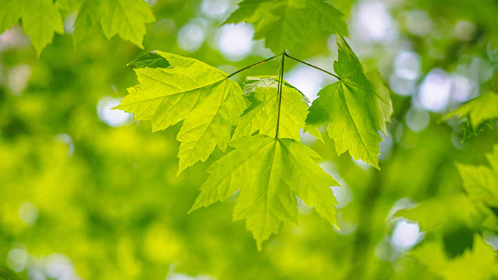 免费WPS如何下载？离线安装包获取+快速配置教程 二