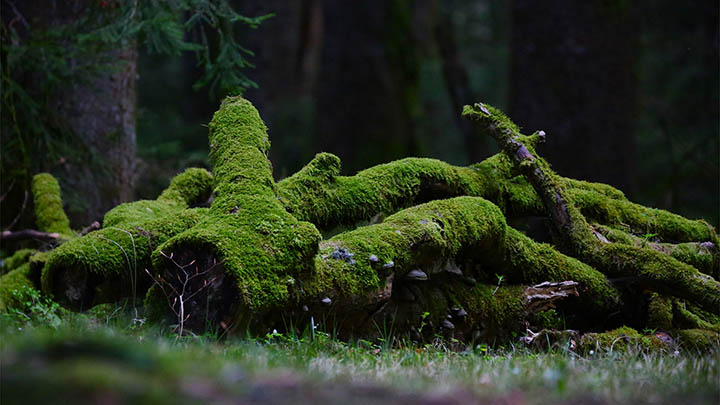 WPS下载遇到问题？卡顿解析全攻略助您顺畅安装使用 二