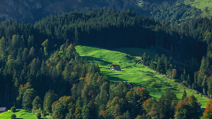 WPS如何下载共享？详细教程+官方安全入口 二