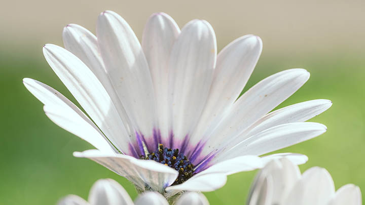 下载WPS如何使用？详细教学让你快速上手！ 二