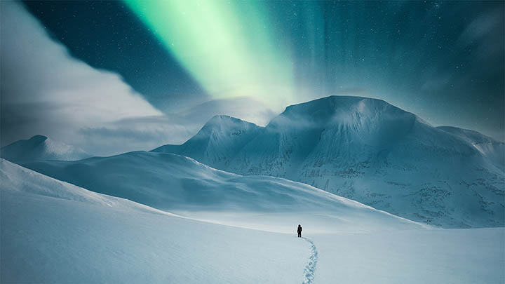 如何获得收费版WPS完整下载攻略? 二