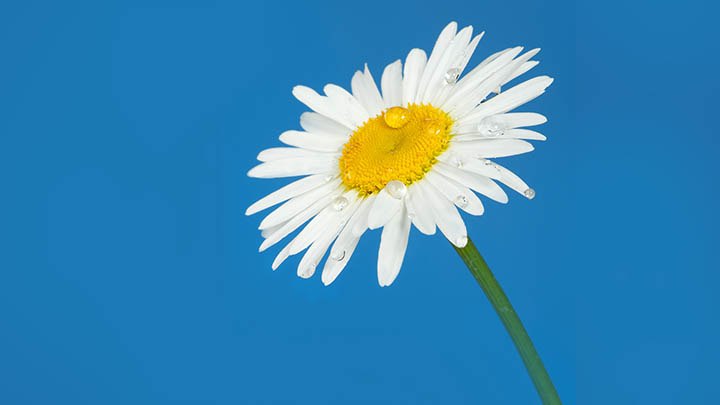 如何下载WPS正版？官网全流程指南 二