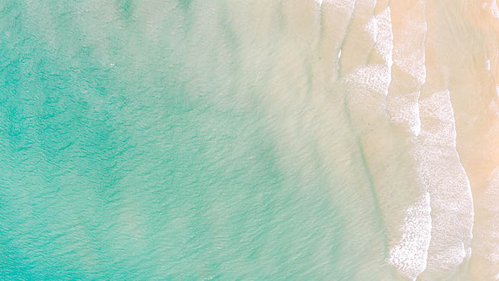 WPS演示如何下载？最全教程带你快速搞定！ 二