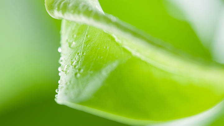 WPS如何下载邮件?快速实现邮件附件保存+高效文件管理技巧 二