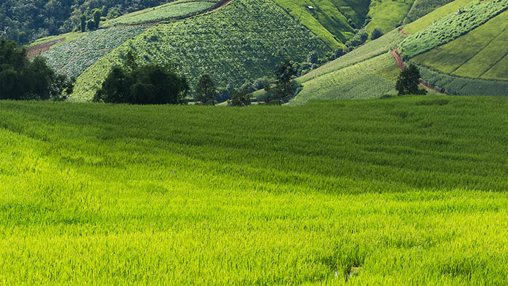 WPS下载：3分钟轻松教程 二