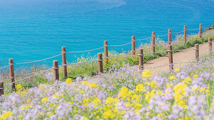 WPS免费下载安装全攻略手机/电脑2025年通用 二